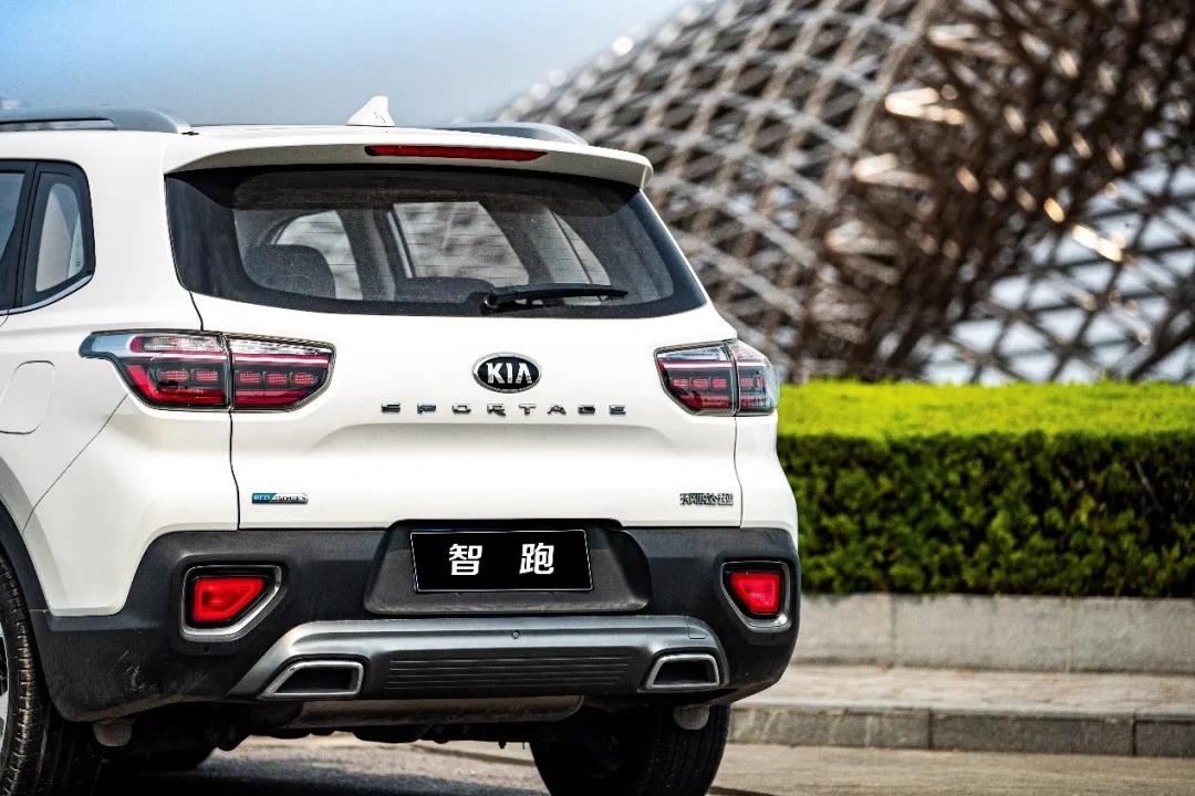 1605769499107492.jpg 3.jpg