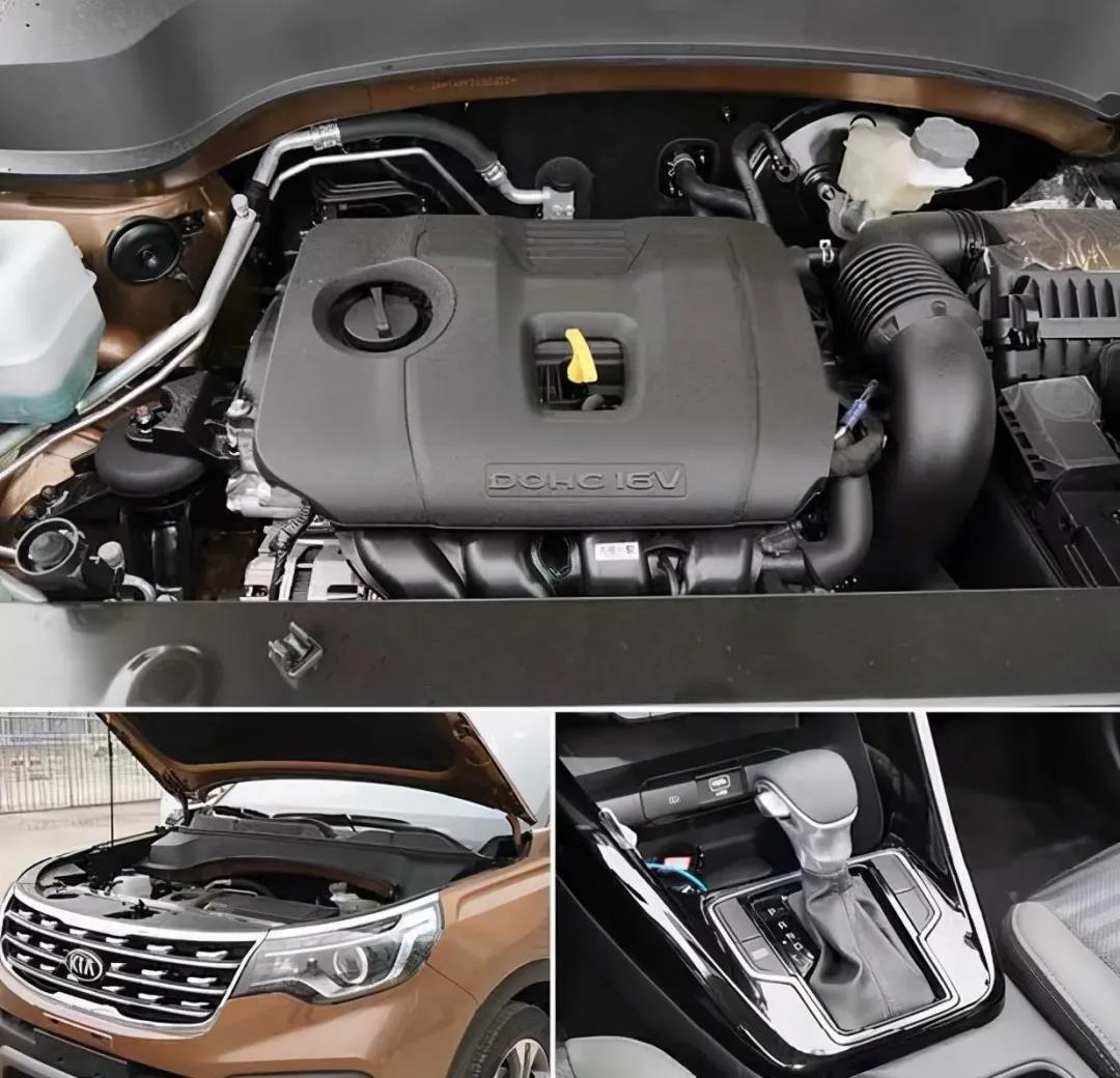 1605769572971034.jpg 5.jpg