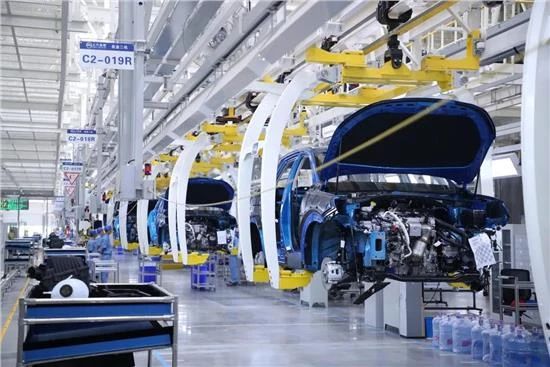 1606456381843379.jpg 3.jpg