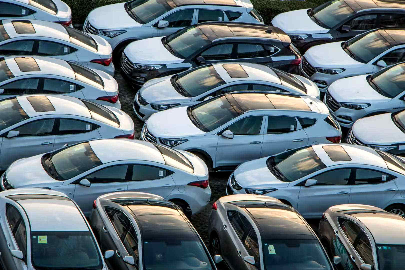 1607395686223862.jpg 10_副本.jpg