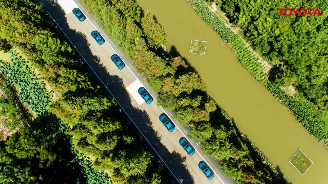 1610350927820441.jpg 5.jpg