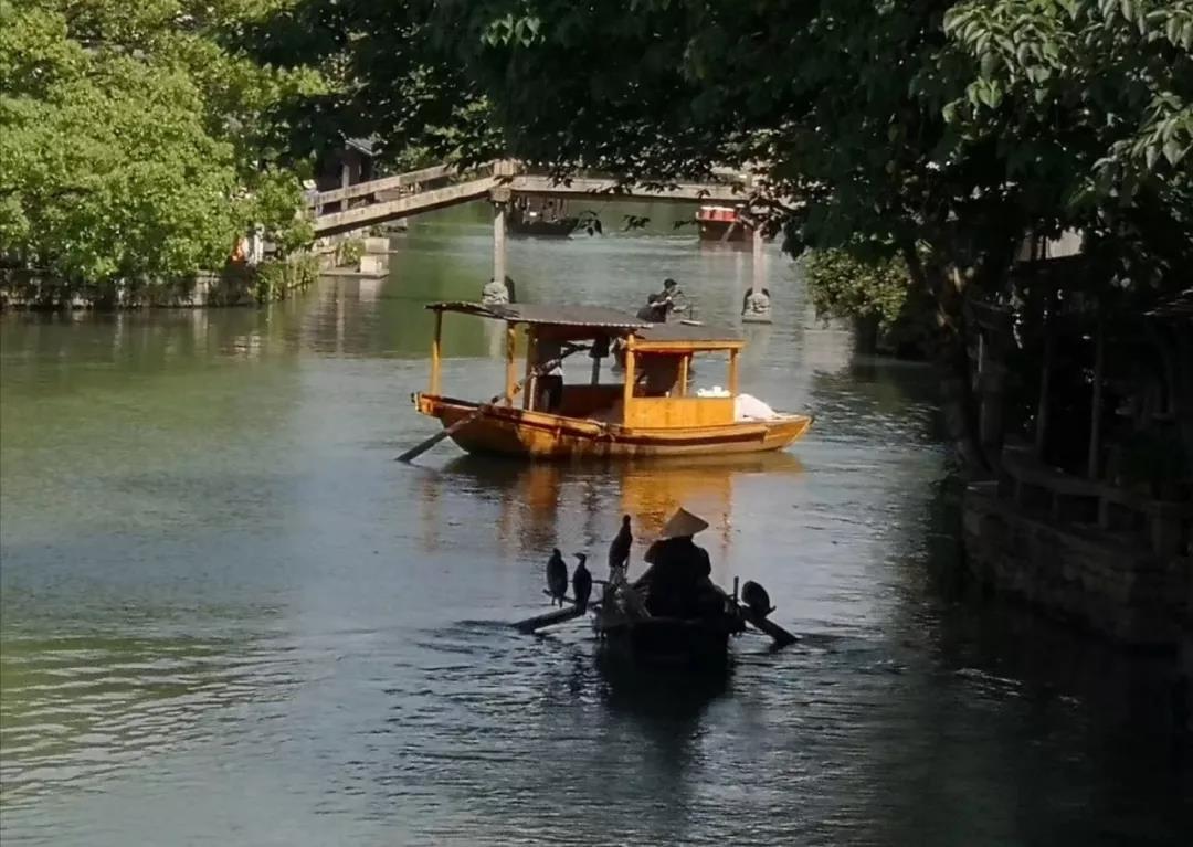 1558699979355234.jpg 微信图片_20190524201151.jpg