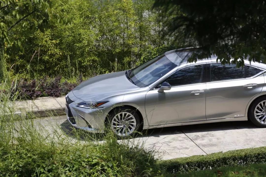 点击进入看图评论