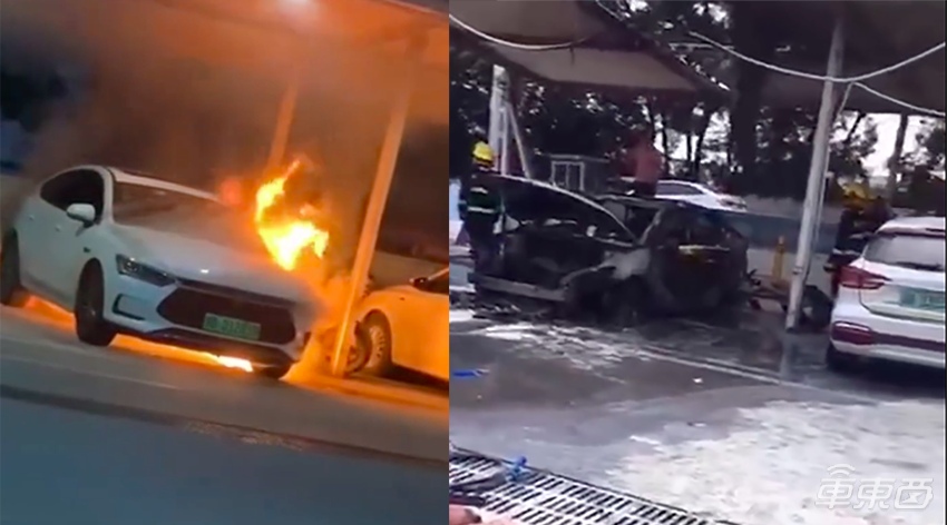 1594863856277419.jpg 下载 (7).jpg