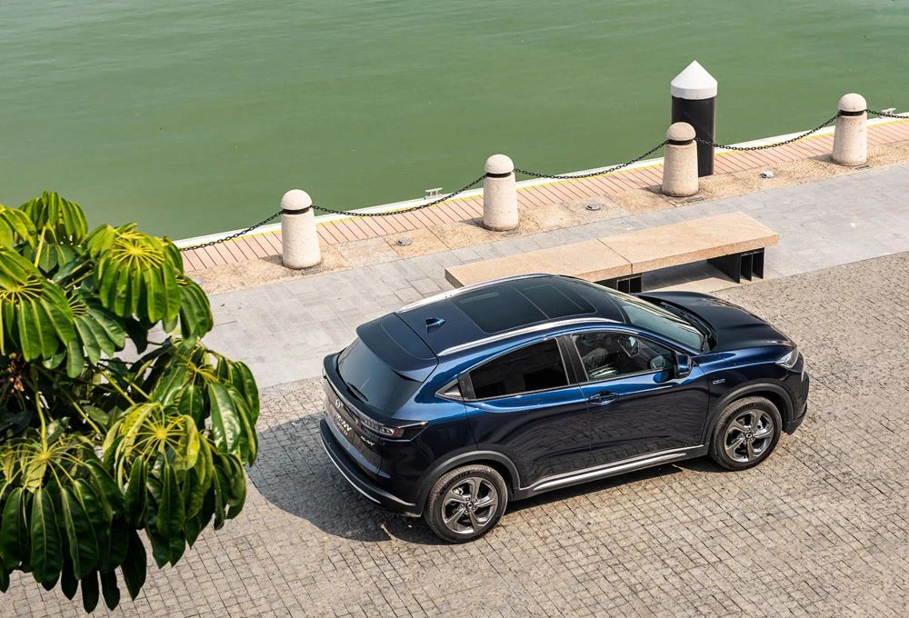 1606362852940063.jpg 4.jpg