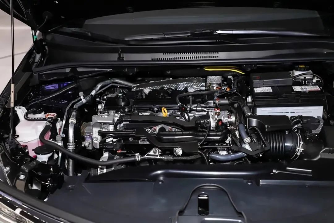 1606801644471424.jpg 6.jpg