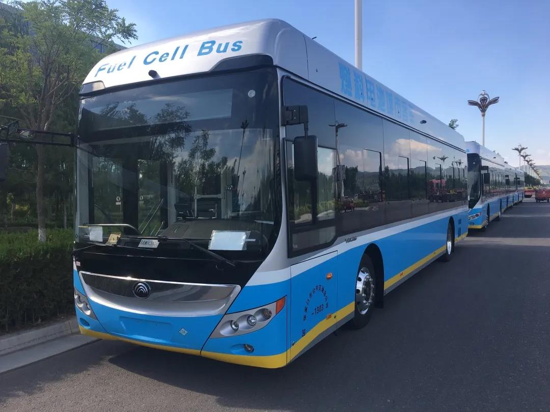 1607065474560981.jpg 6.jpg