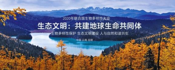微信截图_20211015103127.jpg