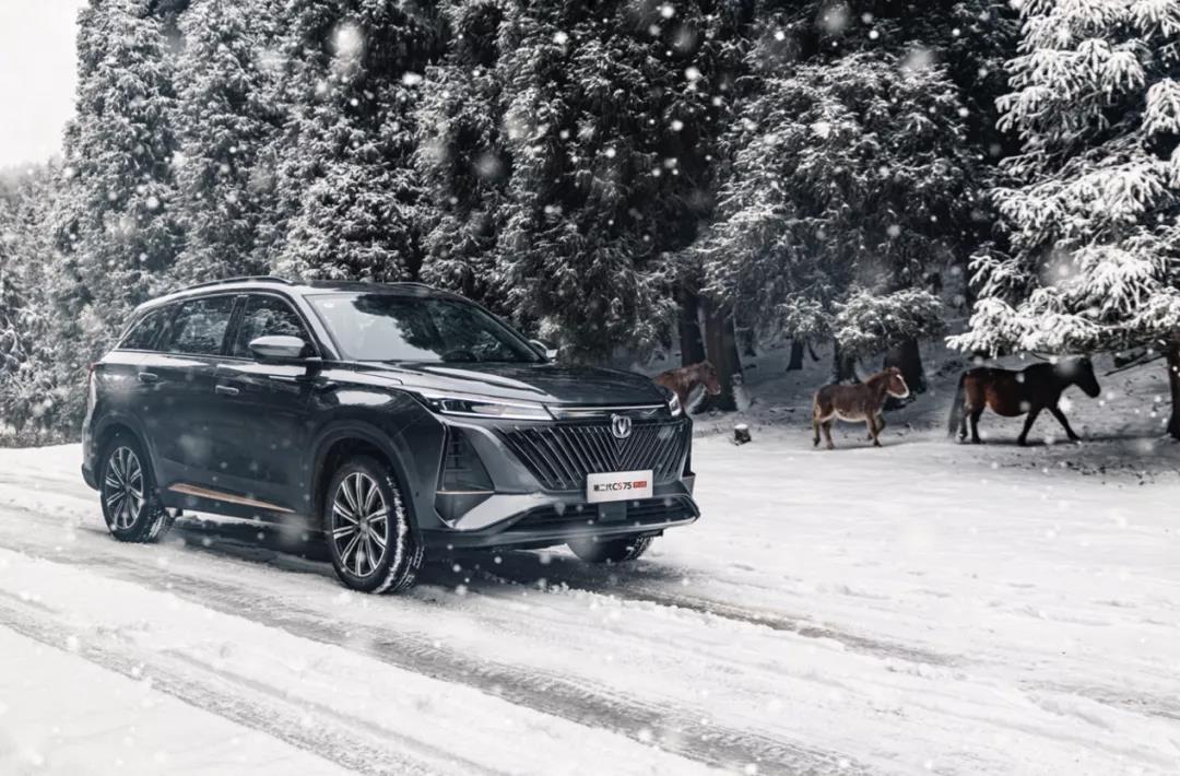 1643418903159812.jpg 微信图片_20220129091341.jpg